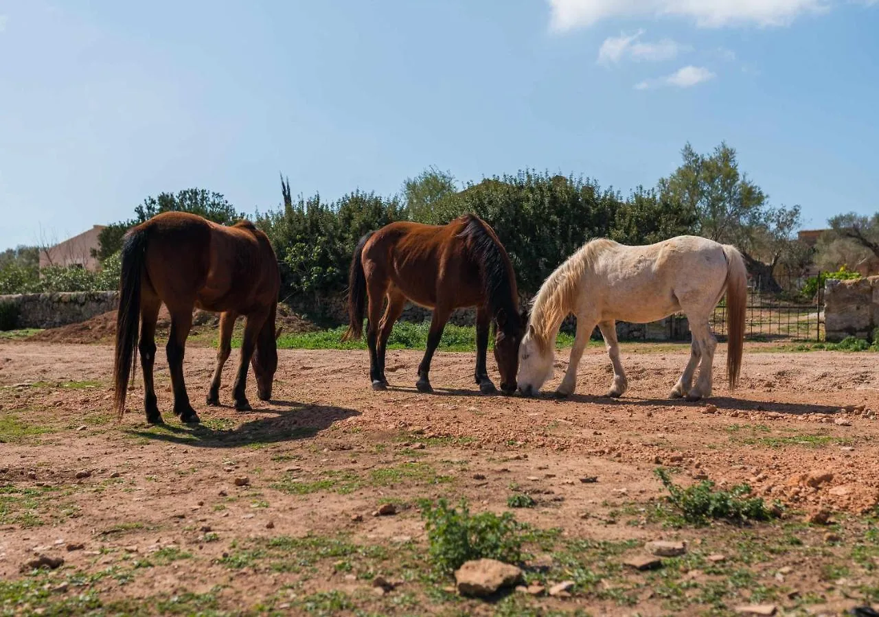 Agroturismo Sa Canoveta Apartment Colonia de Sant Jordi