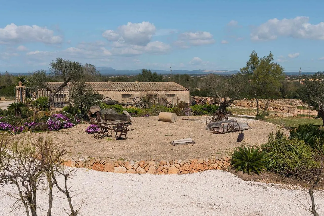 Apartment Agroturismo Sa Canoveta Colonia de Sant Jordi Spain